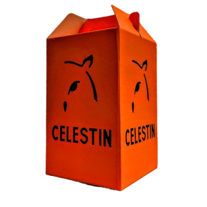 CELESTIN Boite Orange 1 Bombonne 2L