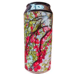 CELESTIN CARESSE NEIPA CAN (14x0,44L) 4.2° VP – Image 2