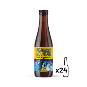 BIG MOUNTAIN Mountain Lager VP (24x33cl) 4,8°